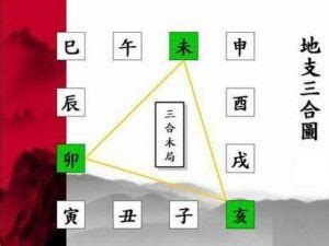 合局|八字亥卯未三合木局详解，亥卯未三合局成功条件及好。